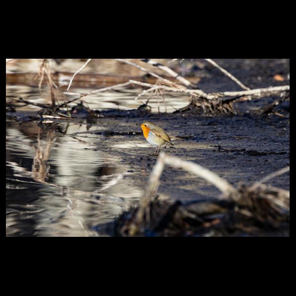 PHOTO84, CLUB, 84 , LUBERON